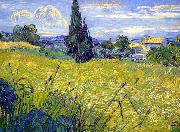Vincent Van Gogh Landscape with Green Corn Spain oil painting artist